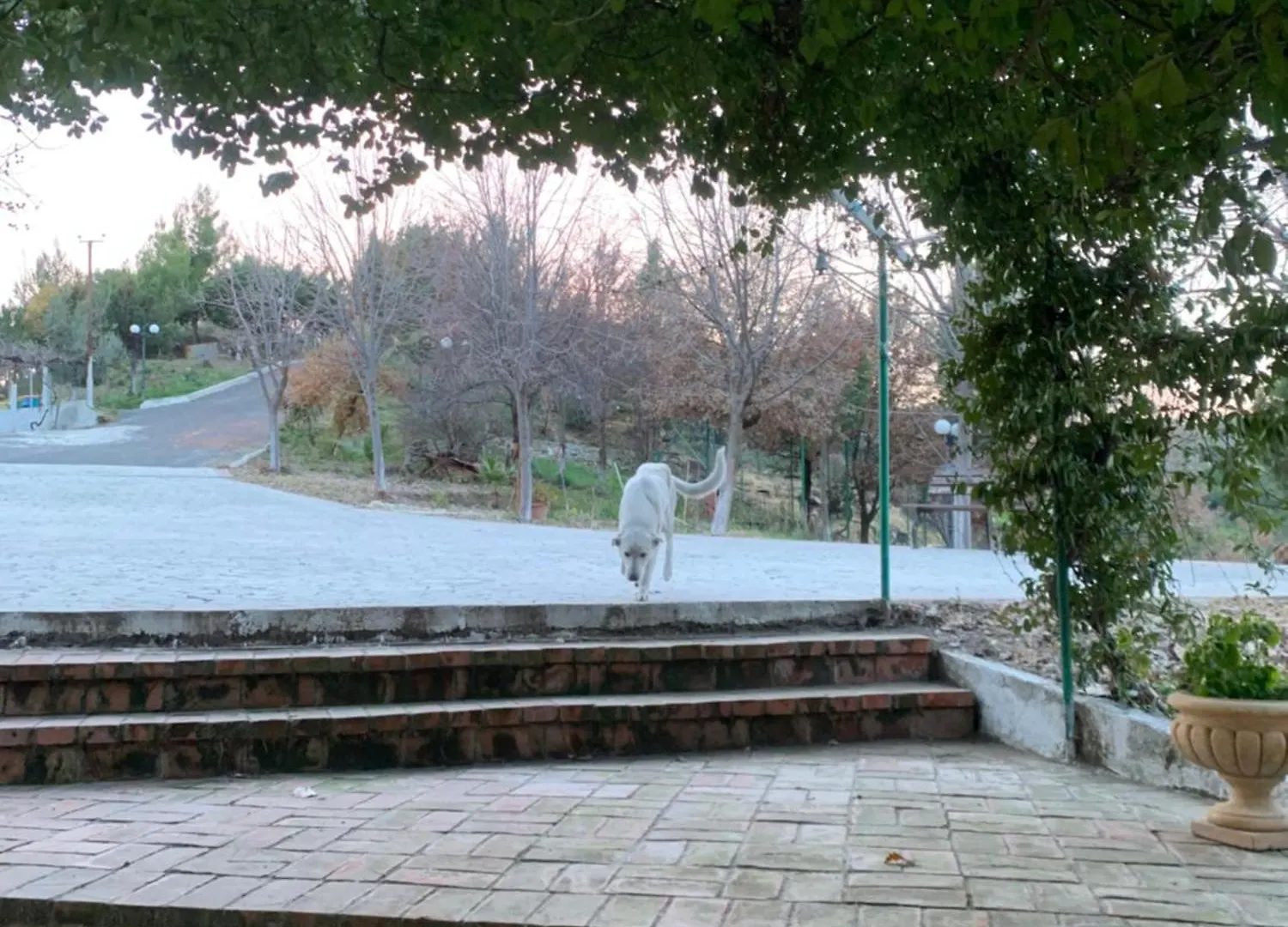 Keshtjella Myftari Villa Patos Albania