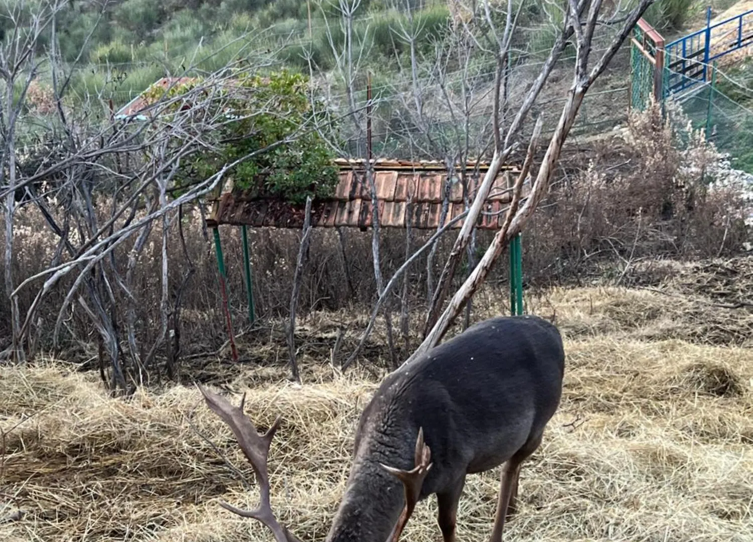 Keshtjella Myftari Vila Patos Albânia
