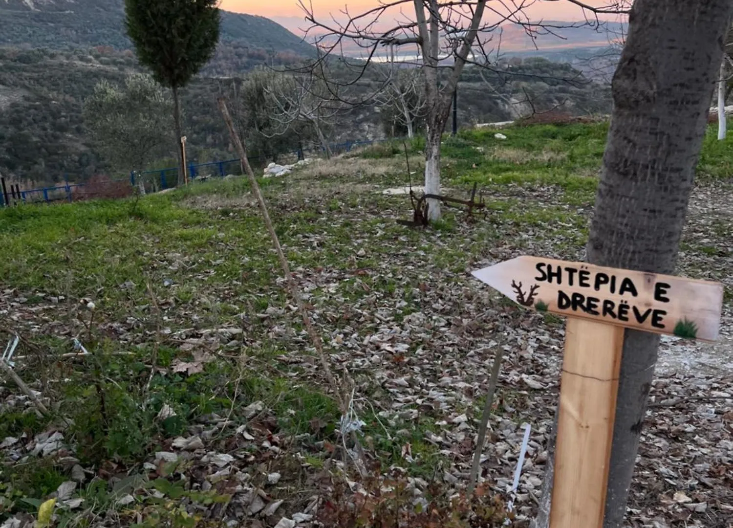Keshtjella Myftari Villa Patos